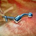 Stainless steel Ripley style bolt handle showing grub screw attachment